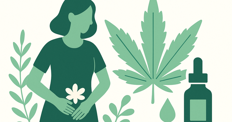 Illustration: Endométriose et CBD : Une Approche Naturelle pour le Soulagement
