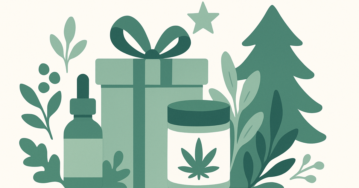 Illustration: Découvrez nos bundles de Noël et profitez d'une remise de -15 % !