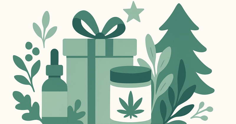 Illustration: Découvrez nos bundles de Noël et profitez d'une remise de -15 % !