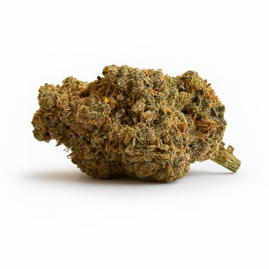 Rainbow Zangria - Fleur de CBD Indoor - Green Vallée