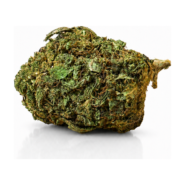 Fleur de CBD California Haze outdoor 11 % cultivée dans le Vercors