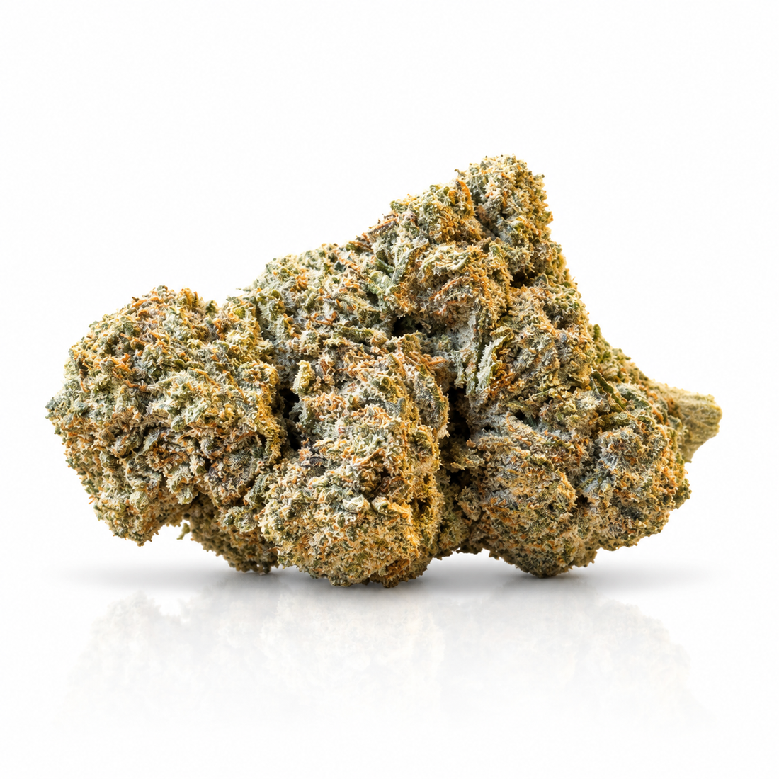 Fleur Snow White GVX 30% - Green Vallée