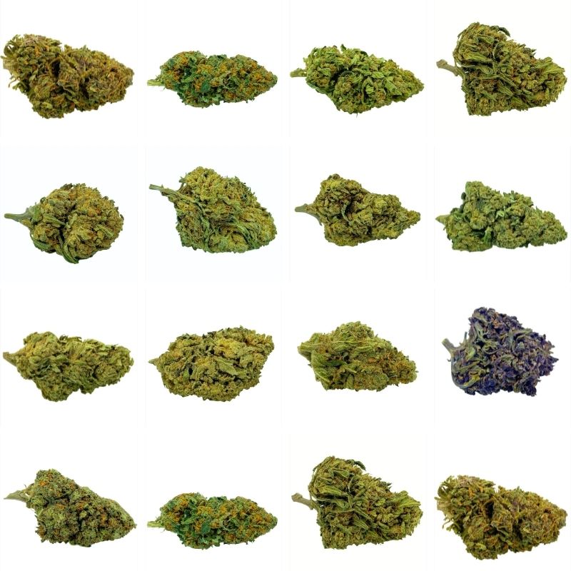 Pack Découverte - Fleurs CBD - CBD Green Vallée